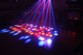 Projecteur à effet de lumière LED Quadra-Moon Ibiza Light