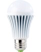 Ampoule LED High-Power 9 W E27 blanc froid