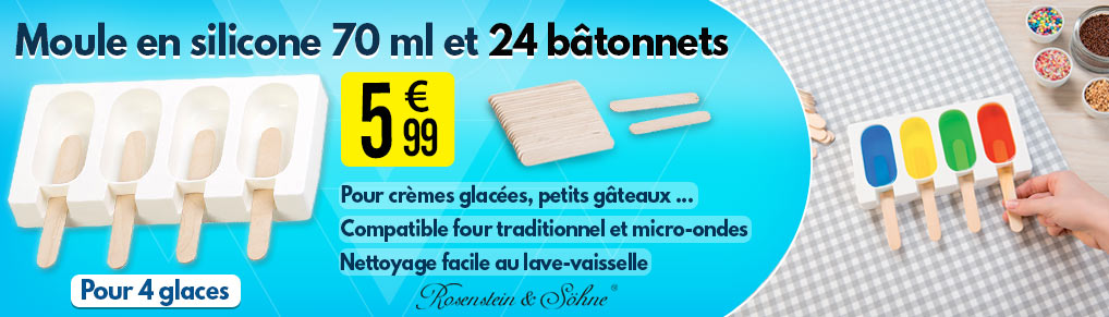 Moule en silicone 70 ml et 24 bâtonnets - Pour 4 glaces - Rosenstein & Söhne - NX7955