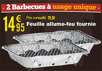 2 Barbecues à usage unique - Infactory - NC3216