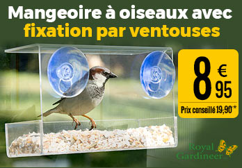 Mangeoire à oiseaux avec fixation par ventouses - Royal gardineer - NX3210