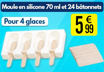 Moule en silicone 70 ml et 24 bâtonnets - Pour 4 glaces - Rosenstein & Söhne - NX7955