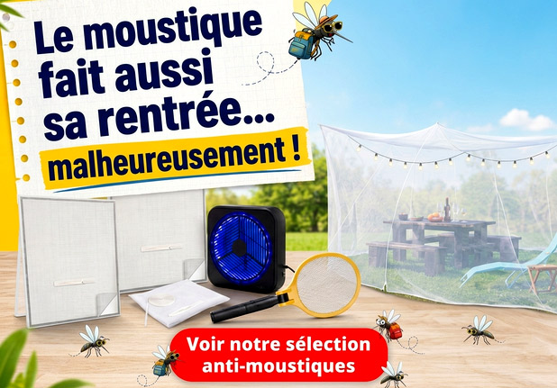 Le moustique fait aussi sa rentrée - toutes nos solutions anti-moustiques