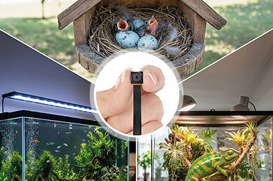 Mini caméra 2K avec détecteur de mouvement, idéale nichoir, enclos, aquarium, modélisme