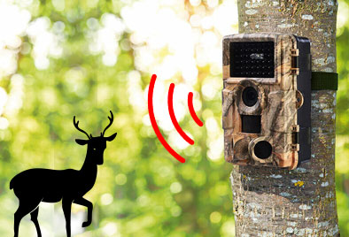 caméra qui detecte un animal 