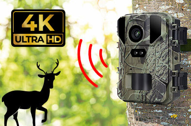 Caméra de chasse 4K WK-440 fixée à un arbre, détection gibier, LED IR no-glow